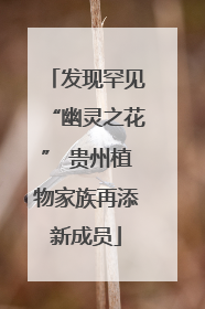发现罕见“幽灵之花” 贵州植物家族再添新成员